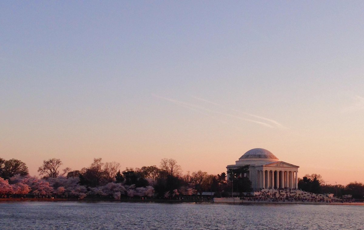 RitzCarlton's tweet photo. Concierge tip: Paddle boating along the Tidal Basin gives you a 360 degree view of the cherry blossom trees http://t.co/57jR9oyJt7