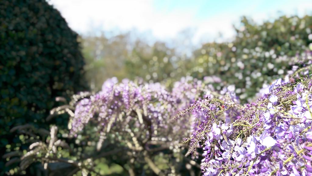 gzlolailo's tweet photo. Flowers in #QuiñonesDeLeón museum and gardens. @htc @htc_es
#HTCOneM8 #Ufocus
#Oneography #HTCOneLife http://t.co/axhYNWS3dH