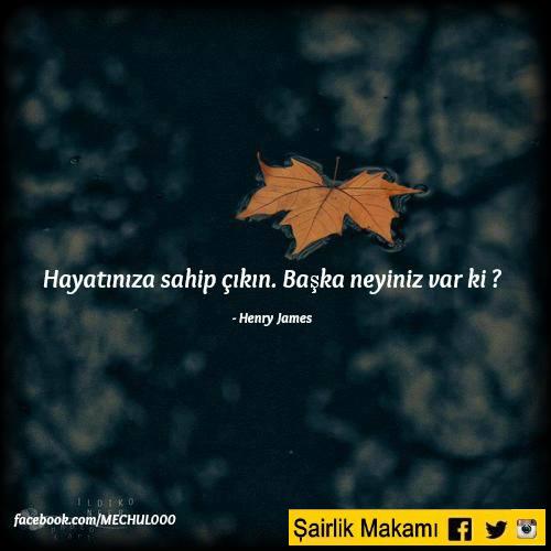 Şairlik Makamı (@sairlikmakami) on Twitter photo 