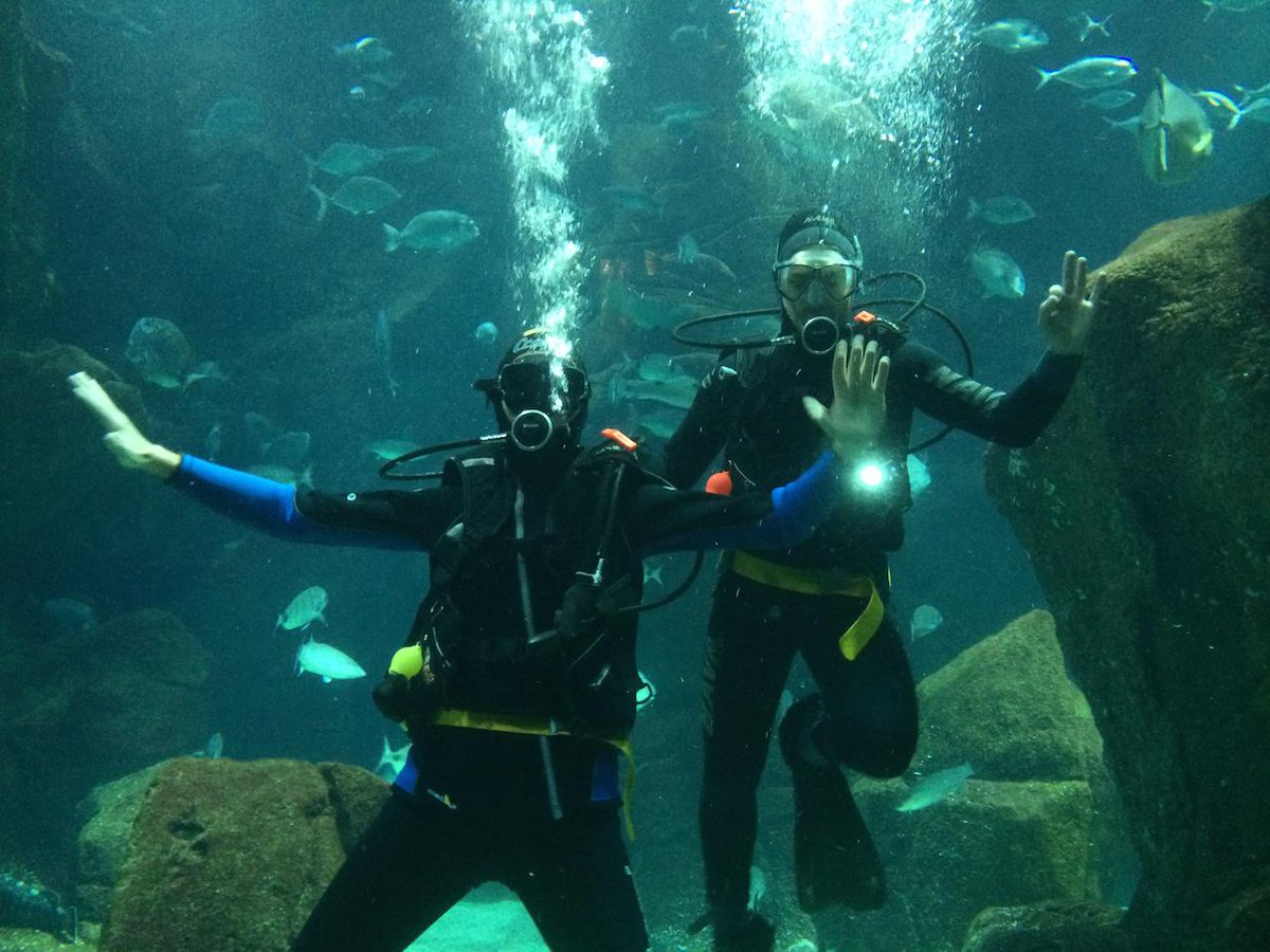 The Travel Magazine tweet media