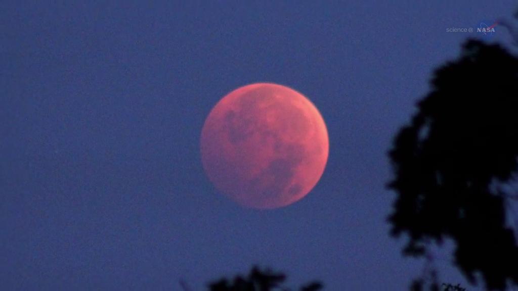 R5_Rhonda's tweet photo. “@DonnyHirst: #BloodMoonEclipse Saturday April 4th 4:58 PDT https://t.co/HsWRWZpBBu #BloodMoon #EasterEclipse http://t.co/RJIYsKYJ0I”✌😎🌴