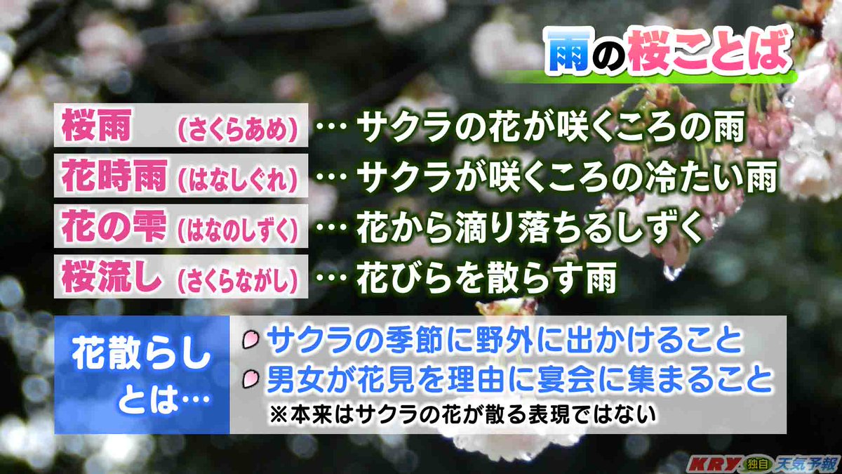 Twitter 上的 Kry気象予報士 山本昇治 きょうは 今が満開の桜には厳しい雨風でした この雨風でよく使われる 花散らし は 本来は花見で集まる男女の宴 合コンのような意味があります これを知ると 花散らし と声にするのは恥ずかしいですね 花が散る儚さは 桜