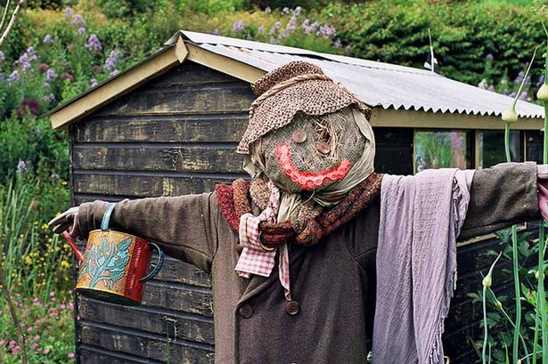 DailyMirror's tweet photo. Man died after having sex with scarecrow he dressed in lipstick, wig and strap-on sex toy http://t.co/J5VVXPtXnS http://t.co/MISwQ3Ydox