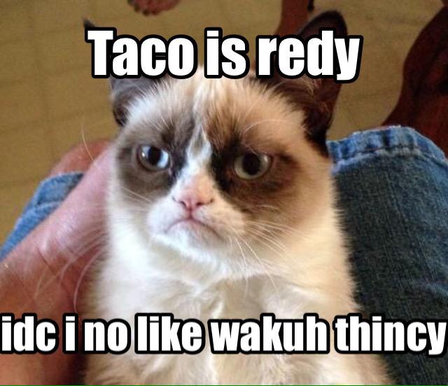 PickaxeThe's tweet image. When you forget what a taco is....