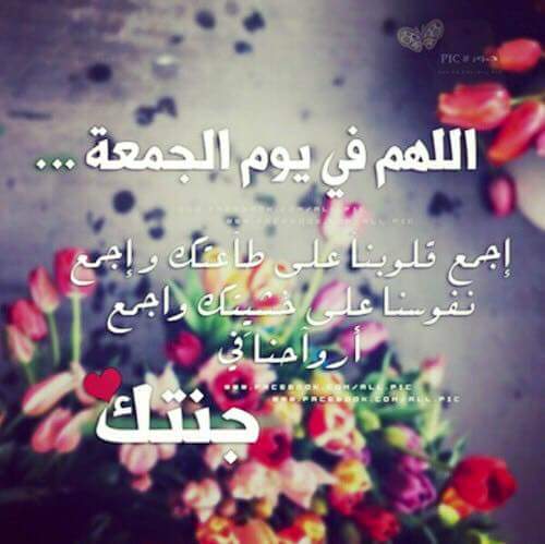 alaallah18's tweet photo. http://t.co/5SdCe6S48b