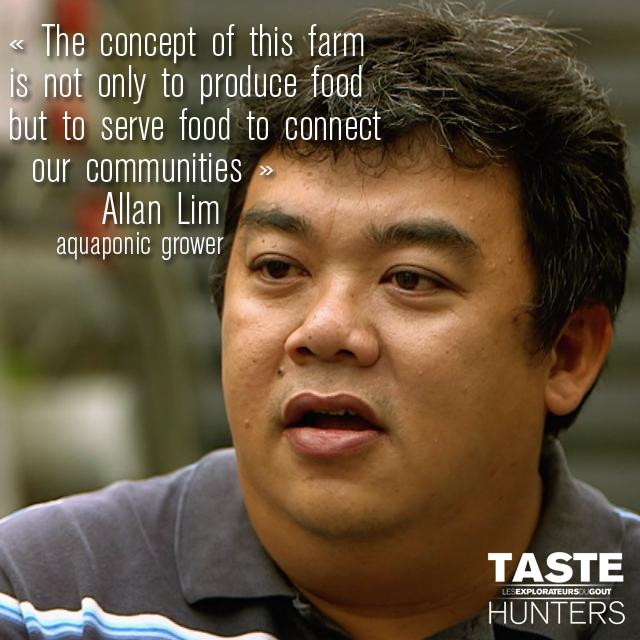 TasteHunters_'s tweet photo. Lundi prochain sur @Ushuaia_TV , partez à #Singapore à la #découverte de la #ferme aquaponique Comcrop by The Living http://t.co/gg5MpbuP97