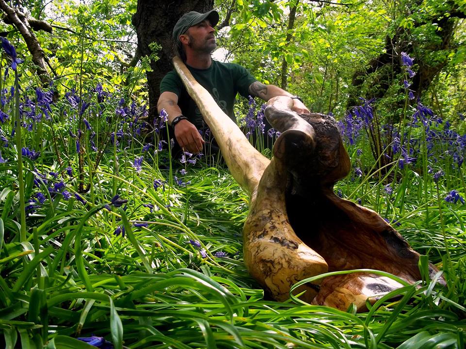 #Cephalodidge confirmed for didgeridoo performance and drumming workshops. Love the Didgeridoo Dreaming Meditation <3