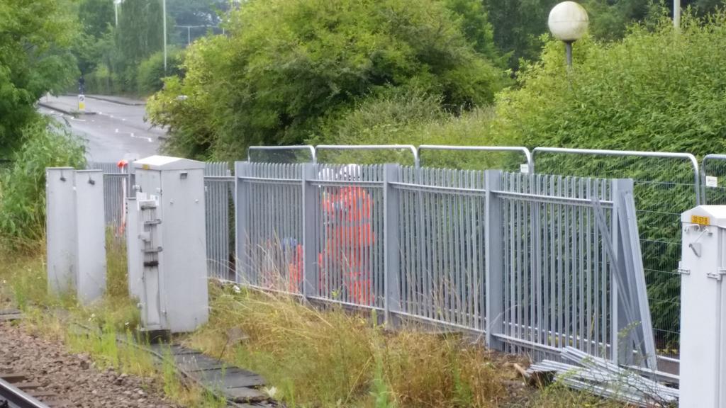 Red Viking Rail tweet media