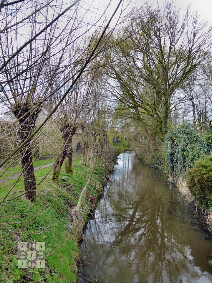 Je bent een <a href="/EchteWollukse/">Echte Wollukse Als</a> als... je weet waar dit is en hoe het heet.