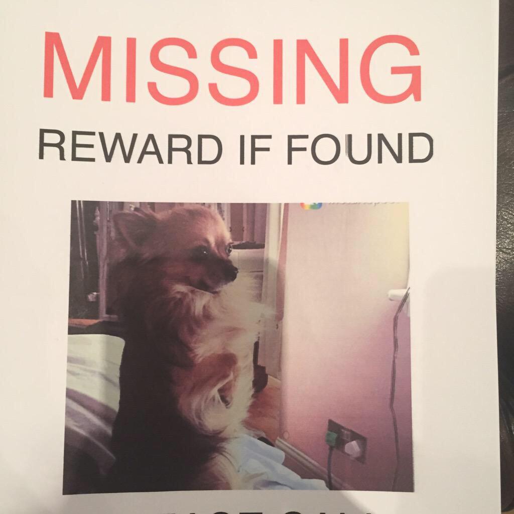 If you can HELP please do! <a href="/DianaVickers/">Diana Vickers</a> <a href="/Georgecraigono/">ً</a> dog has gone missing in east London If u find please contact