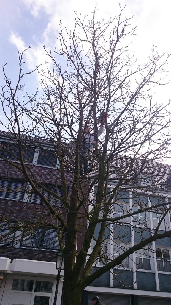 Slaapzak op grote hoogte <a href="/DDRMook/">DDR Mook</a> <a href="/hitmook/">HIT Mook</a>