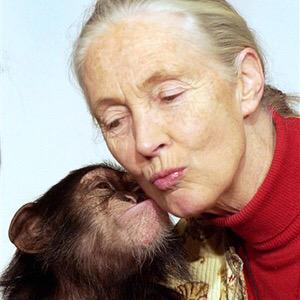 \"I like some animals more than some people, some people more than some animals.\" Happy Birthday Jane Goodall! 