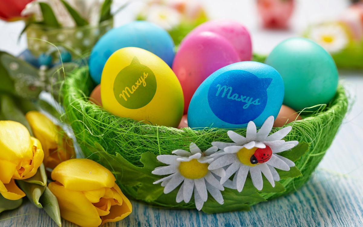 maxyssoftware tweet picture