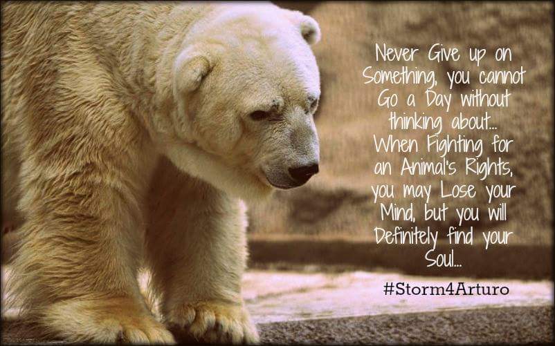 princessbabygi's tweet image. @_AnimalAdvocate @AnimalAngel47 @GOPisUnAmerican already sighned for aurtuto but shared again