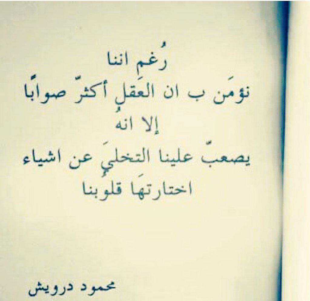 Hamed Alhinaai (@hamed73011) on Twitter photo 