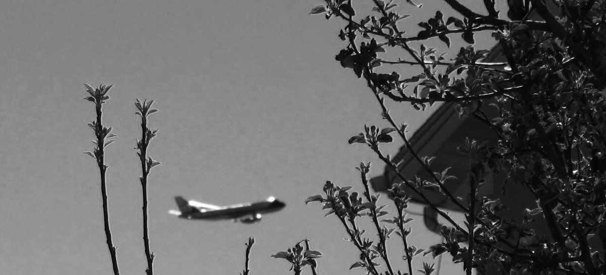 JimboUnplugged's tweet photo. My tree, my roof (the corner, at least) and Air Force One. #ObamaInUtah #Layton #HAFB http://t.co/vtjiHIfZOZ