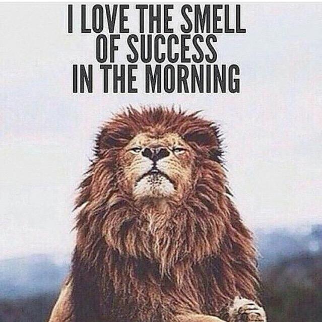 DannyNovae's tweet image. 