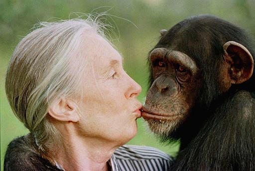 Happy Birthday Jane Goodall! You are our inspiration and a leader for all.   