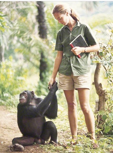 Happy 81st Birthday Jane Goodall. You were my first role model in life, and continue to be now. Have a great day!   