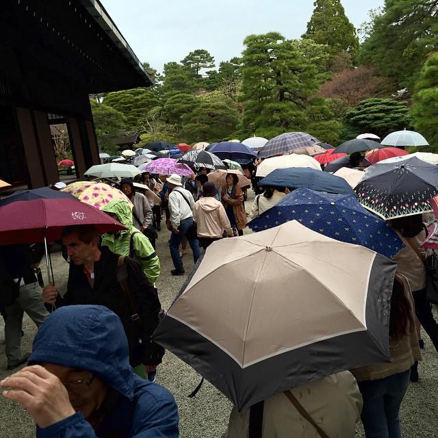 HowardLask's tweet image. Umbrellas