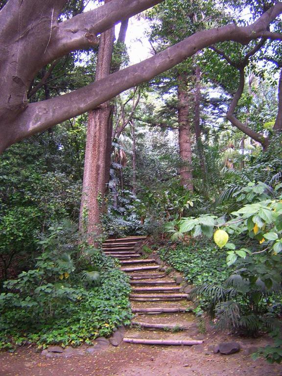 dibujospio's tweet photo. Escaleras en los senderos de la finca de La Concepción en Málaga http://t.co/npHRtxVRED
