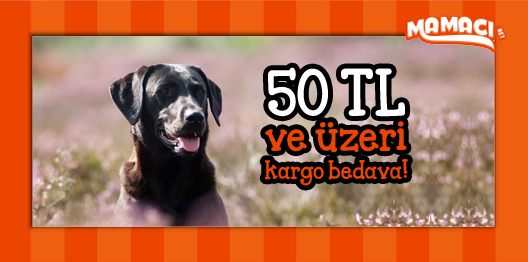 50 TL ve üzeri #kargo bedava! Alışverişe başlamak için hemen tıkla; bit.ly/1Ammv4r #kedi #köpek #kuş #bedava