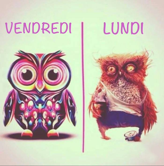 Demotivateur Le Lundi C Est Pas Chouette Buzz Insolite Lundi Http T Co Gymvd7gjzb