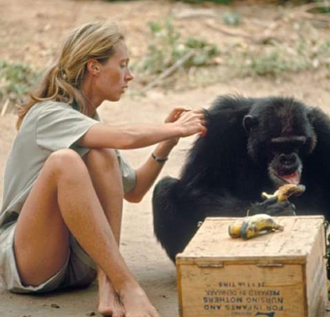 Happy birthday to Jane Goodall who inspired me to choose a career in wildlife and conservation biology! 