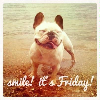 OneRaceEvents's tweet image. #HappyFriday! Join us for #LapsAtLunch today 11:15-12:15 or 12:30-1:30! $5 to drop in &amp;amp; #run laps! Get fit, DSM!