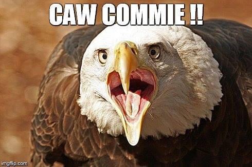 hGreubel's tweet photo. @aHauser01 and here's our campaign poster, we've got this shit http://t.co/cUHvBUdxZz