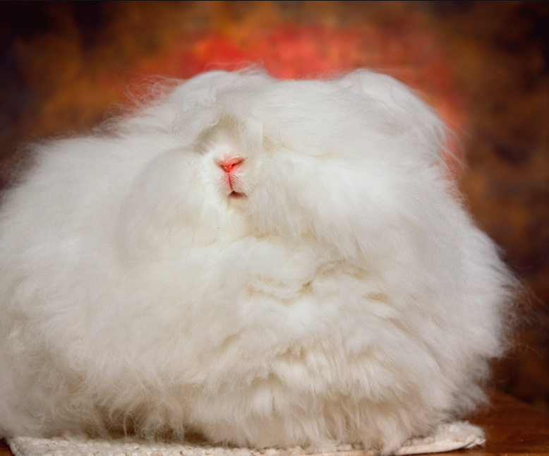 artWIRTH's tweet photo. Happy #GoodFriday These photos by Andres Serrano will put anyone in the Easter mood:) http://t.co/jH0w3N3EIv http://t.co/DhyV4QuhaR
