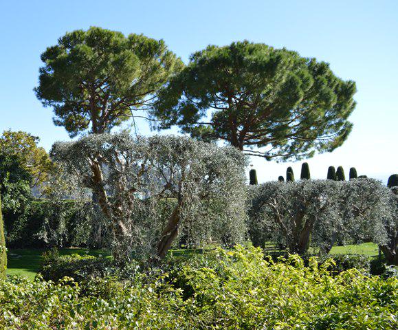 JARDINEA tweet media