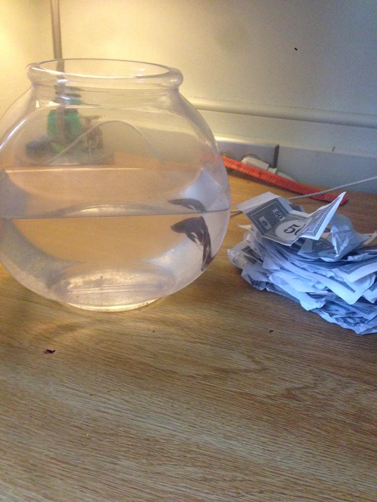 SB15 (@ultimatesb15) on Twitter photo 