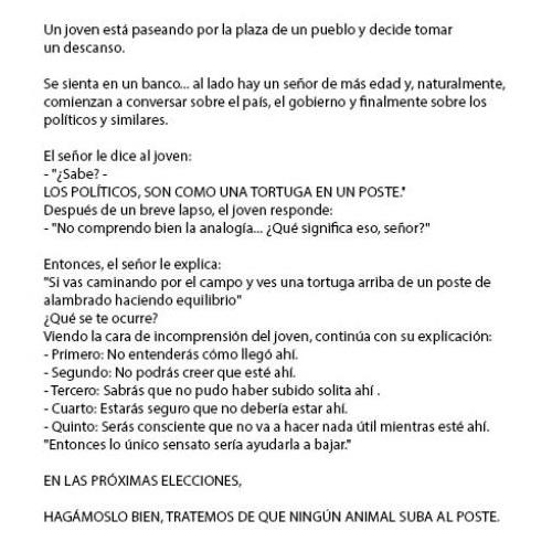 defotoenfoto's tweet photo. Los políticos son como una tortuga en un poste... http://t.co/9kJwcczNjc