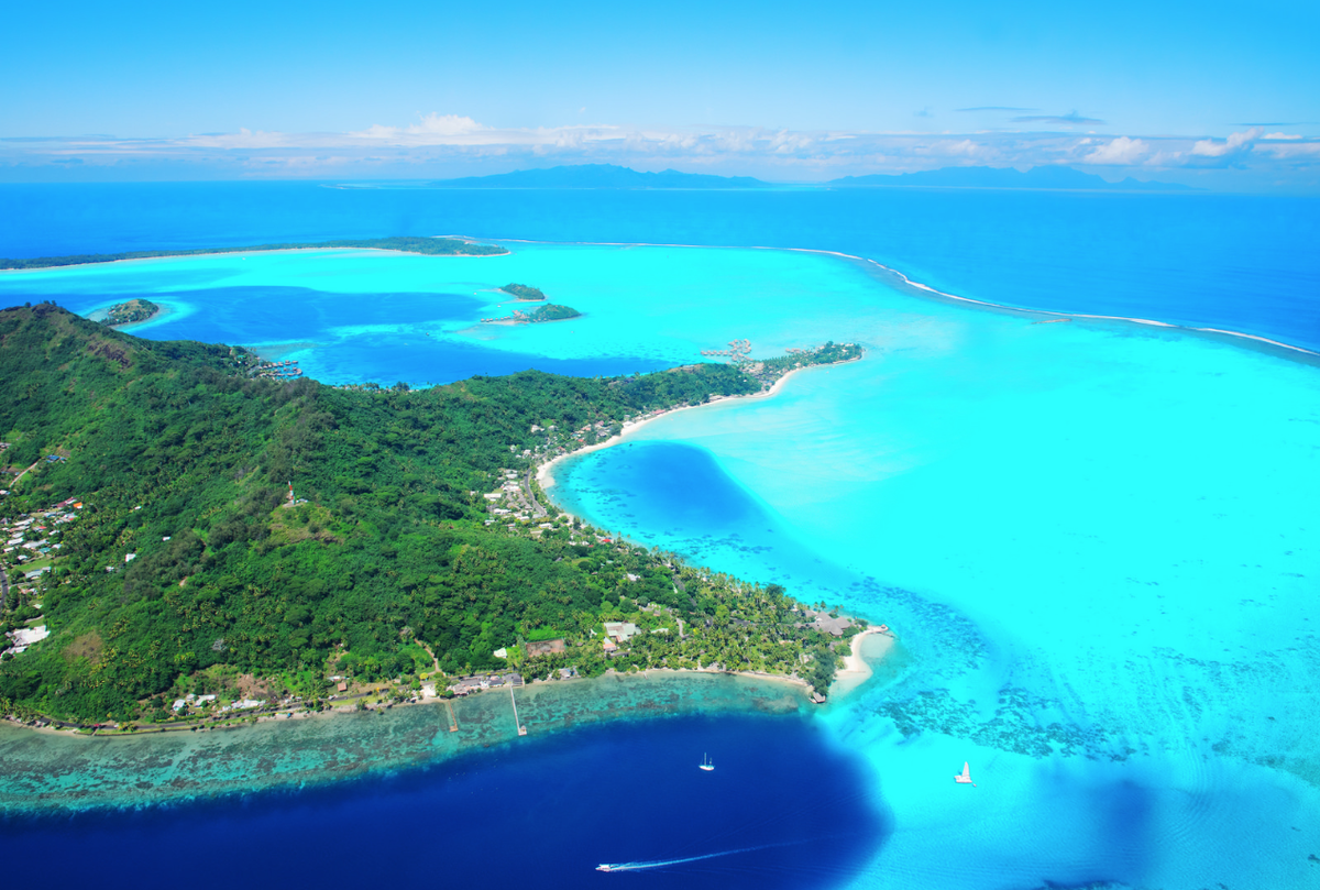 Le Monde Histoire tweet media