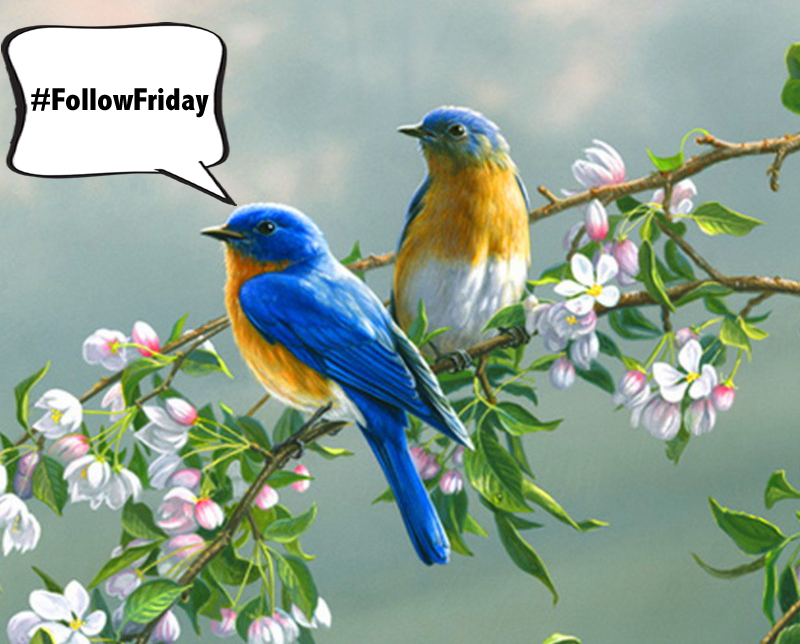 DaddyFab's tweet image. RT if you want us to follow! Happy #FollowFriday