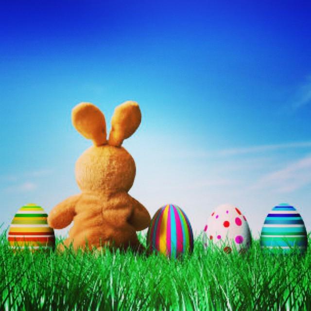 Bea Díaz tweet media