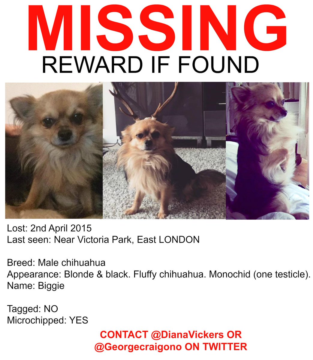 #FINDBIGGIE

Please help to spread this around social media!

<a href="/Georgecraigono/">ً</a> <a href="/DianaVickers/">Diana Vickers</a>