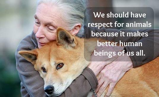 \" Happy Birthday Dr. Jane Goodall!  