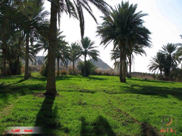 #لقطة_عراقية
من 'الانبار'