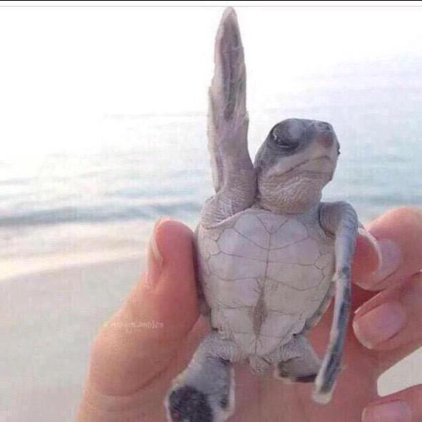 Keith_Stone___'s tweet image. Who's ready to drink ?