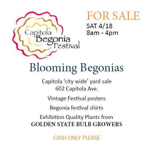 GoldenStateBulb's tweet image. coming up in preparation for the Capitola Begonia Festival