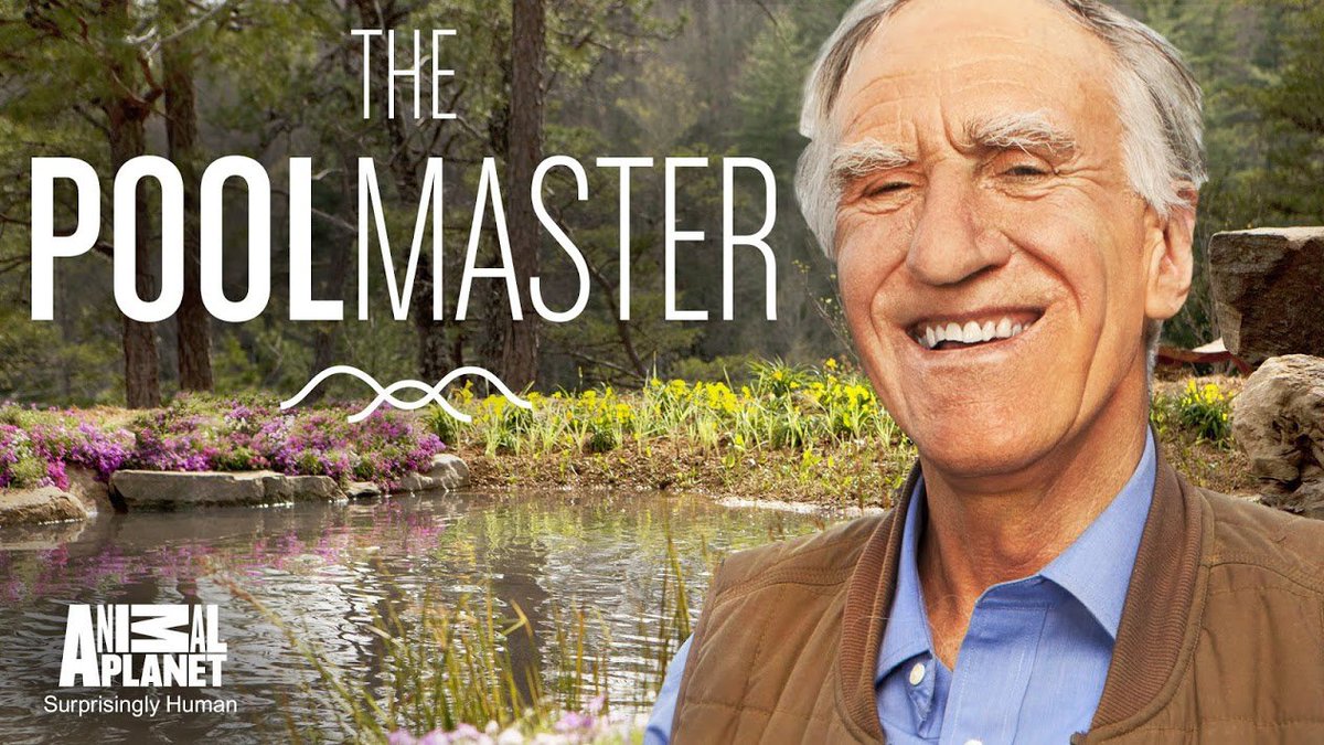BizNash's tweet photo. My dad's show #ThePoolMaster airs tonight w Anthony @ArcherWills @AnimalPlanet at 9/8c http://t.co/f9gT8O09jG http://t.co/6oEPjrz4HG