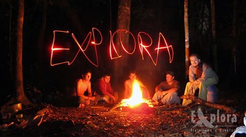 Explora tweet media