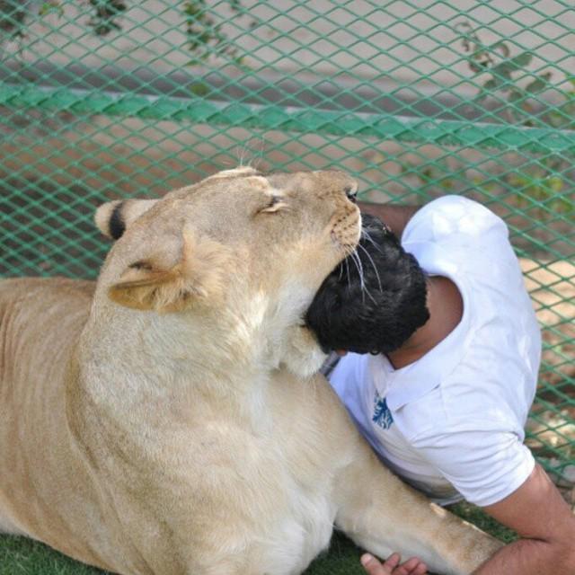 humaidalbuqaish's tweet photo. "جد منو وده يجرب ،،،؟" http://t.co/Df70aoPUAE