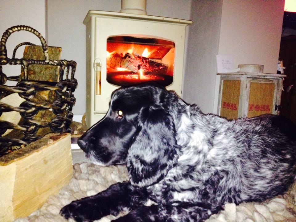 WoodFuelBarn's tweet photo. Don't forget about our #WallofFlame to be a part of it simply tweet us your cosy log fireplaces! http://t.co/Nz1kmfztnE