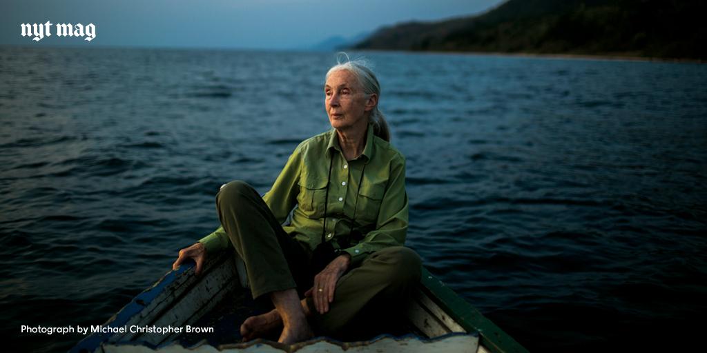 Happy birthday to Jane Goodall who turns 81 today! Read our profile of her by 