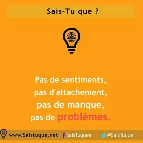 Un jour peu etre ... tweet media