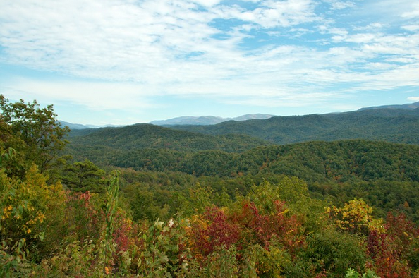 CharliesFarmTN tweet picture