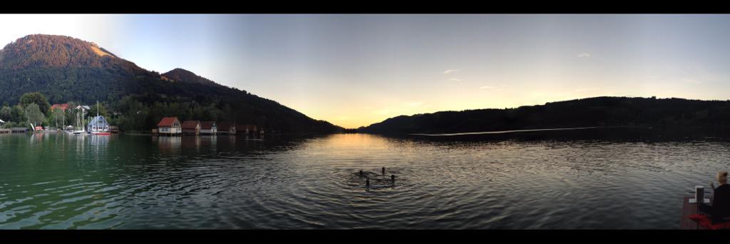 Diente De Leon (@ggamalde) on Twitter photo 